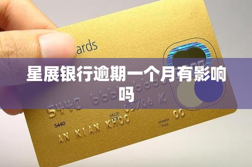 星展银行逾期一个月有影响吗