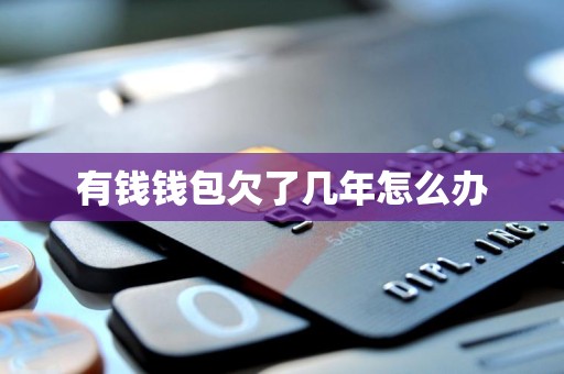 有钱钱包欠了几年怎么办