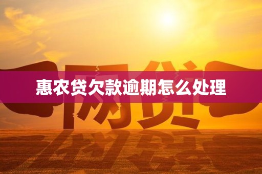 惠农贷欠款逾期怎么处理