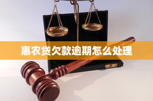 惠农贷欠款逾期怎么处理