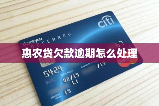 惠农贷欠款逾期怎么处理