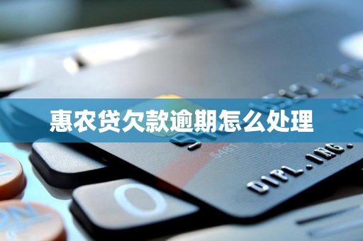 惠农贷欠款逾期怎么处理