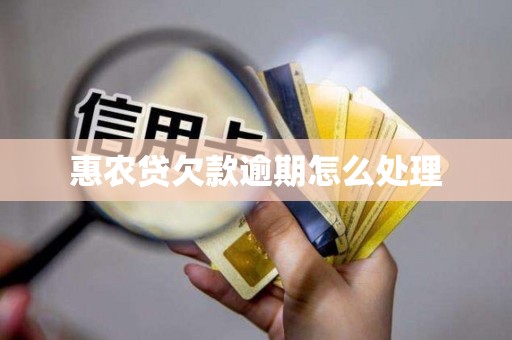 惠农贷欠款逾期怎么处理
