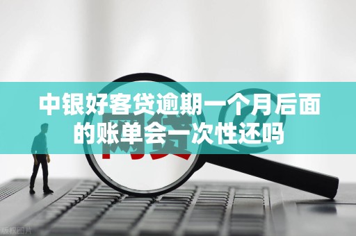 中银好客贷逾期一个月后面的账单会一次性还吗 中银好客贷逾期一个月后面的账单会一次性还吗