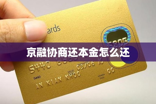 京融协商还本金怎么还