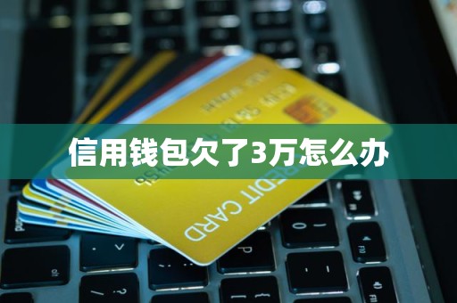 信用钱包欠了3万怎么办