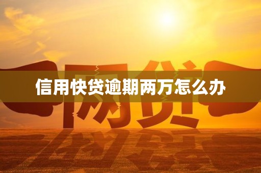 信用快贷逾期两万怎么办
