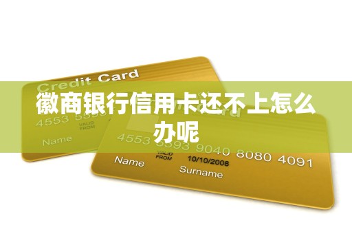 徽商银行信用卡还不上怎么办呢