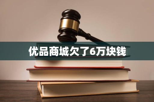 优品商城欠了6万块钱