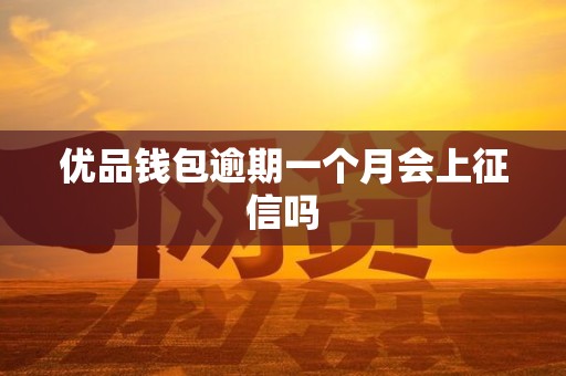 优品钱包逾期一个月会上征信吗