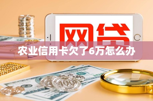 农业信用卡欠了6万怎么办