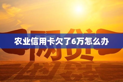 农业信用卡欠了6万怎么办