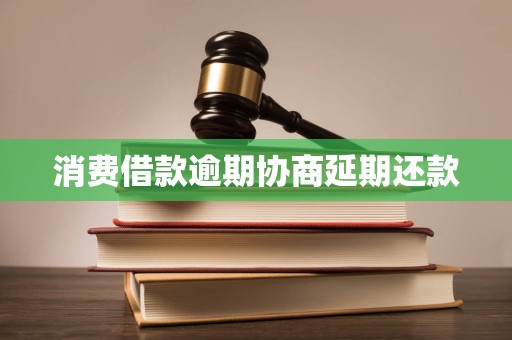 消费借款逾期协商延期还款