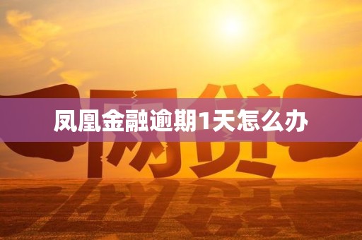 凤凰金融逾期1天怎么办 凤凰金融逾期1天怎么办