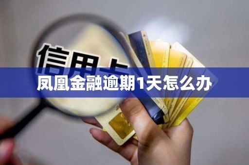 凤凰金融逾期1天怎么办 凤凰金融逾期1天怎么办