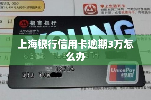 上海银行信用卡逾期3万怎么办