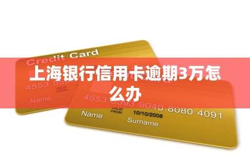 上海银行信用卡逾期3万怎么办