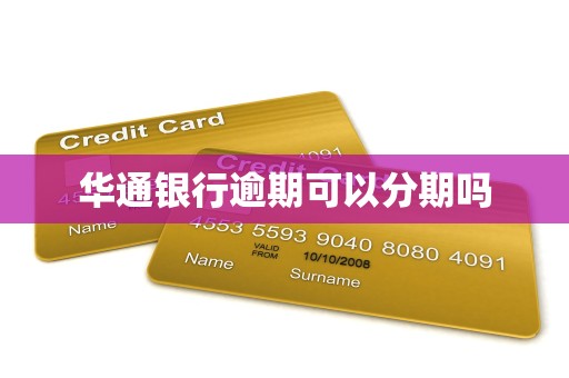 华通银行逾期可以分期吗