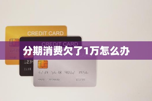 分期消费欠了1万怎么办