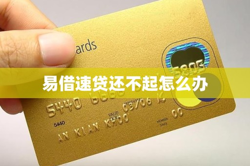 易借速贷还不起怎么办