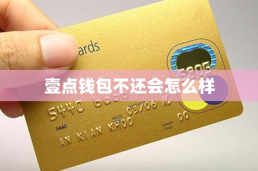 壹点钱包不还会怎么样 壹点钱包不还会怎么样