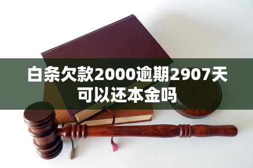 白条欠款2000逾期2907天可以还本金吗