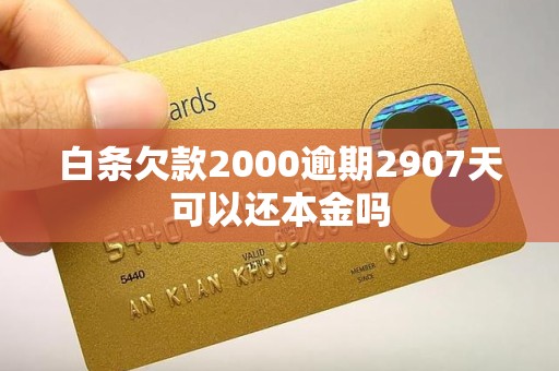 白条欠款2000逾期2907天可以还本金吗