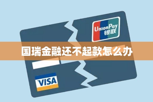 国瑞金融还不起款怎么办