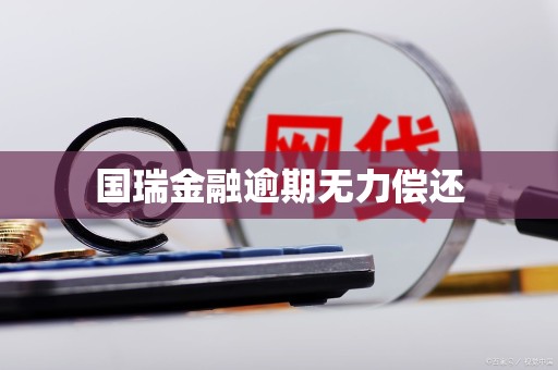 国瑞金融逾期无力偿还