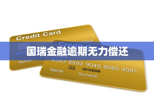 国瑞金融逾期无力偿还