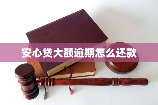 安心贷大额逾期怎么还款
