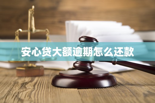 安心贷大额逾期怎么还款