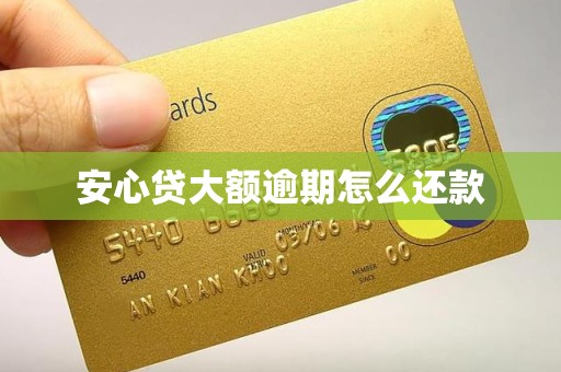 安心贷大额逾期怎么还款