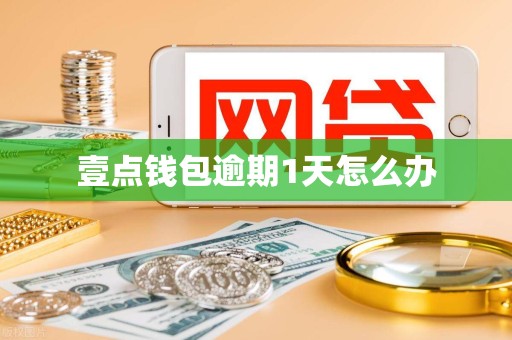 壹点钱包逾期1天怎么办
