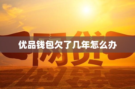 优品钱包欠了几年怎么办