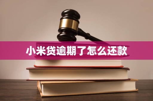 小米贷逾期了怎么还款