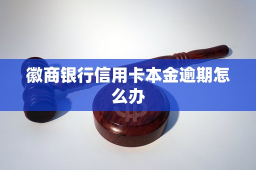 徽商银行信用卡本金逾期怎么办