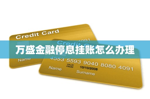万盛金融停息挂账怎么办理 万盛金融停息挂账怎么办理