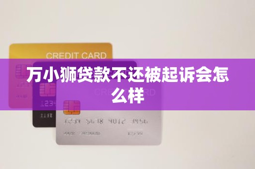 万小狮贷款不还被起诉会怎么样