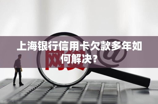 上海银行信用卡欠款多年如何解决？
