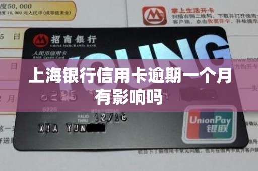 上海银行信用卡逾期一个月有影响吗