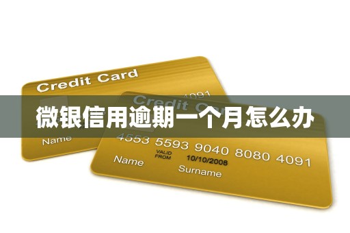 微银信用逾期一个月怎么办