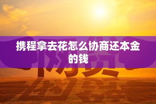 携程拿去花怎么协商还本金的钱