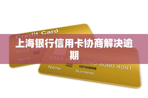 上海银行信用卡协商解决逾期 上海银行信用卡协商解决逾期
