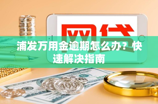 浦发万用金逾期怎么办？快速解决指南