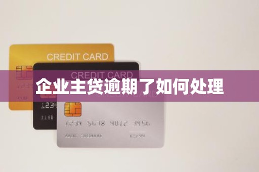 企业主贷逾期了如何处理