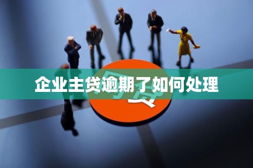 企业主贷逾期了如何处理