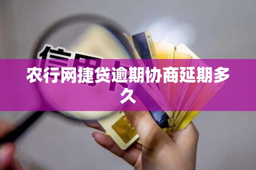 农行网捷贷逾期协商延期多久