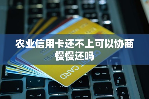 农业信用卡还不上可以协商慢慢还吗 农业信用卡还不上可以协商慢慢还吗