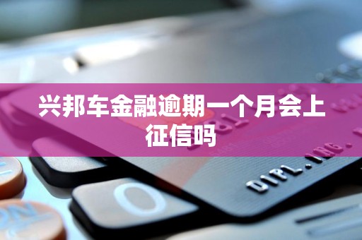 兴邦车金融逾期一个月会上征信吗